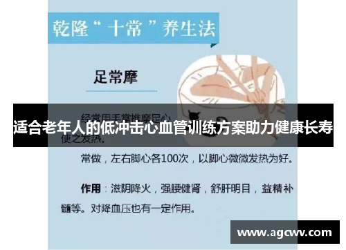 适合老年人的低冲击心血管训练方案助力健康长寿
